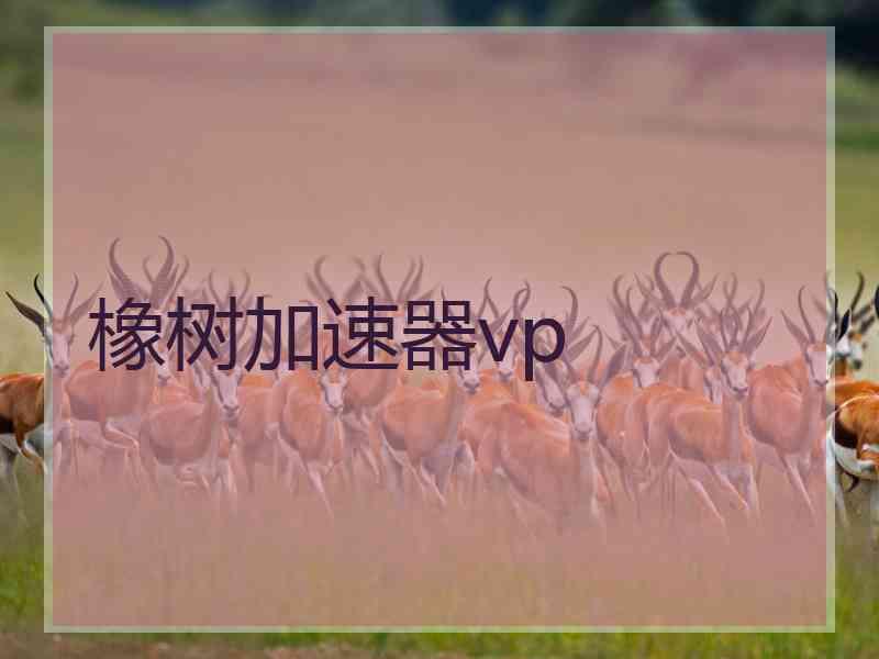 橡树加速器vp