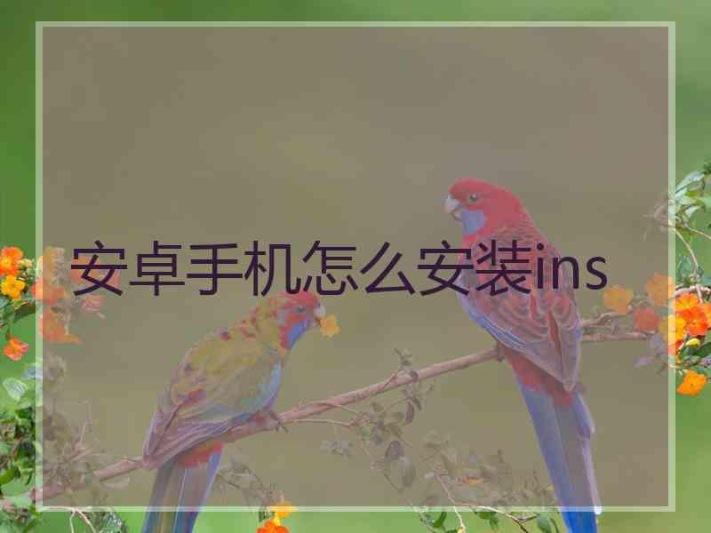 安卓手机怎么安装ins