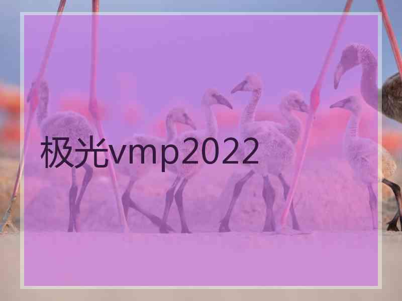 极光vmp2022