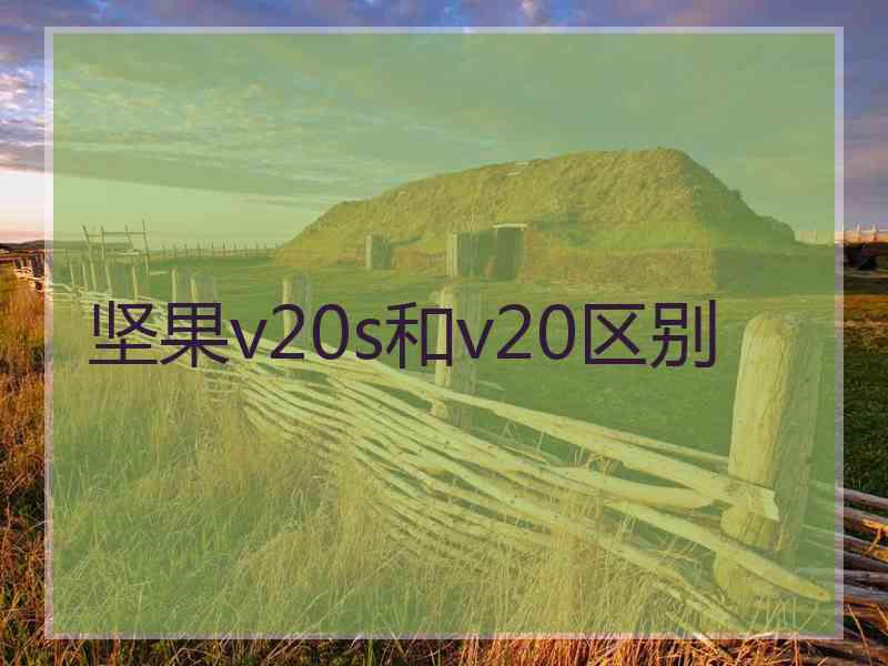 坚果v20s和v20区别