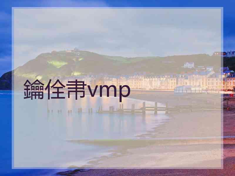 鑰佺帇vmp