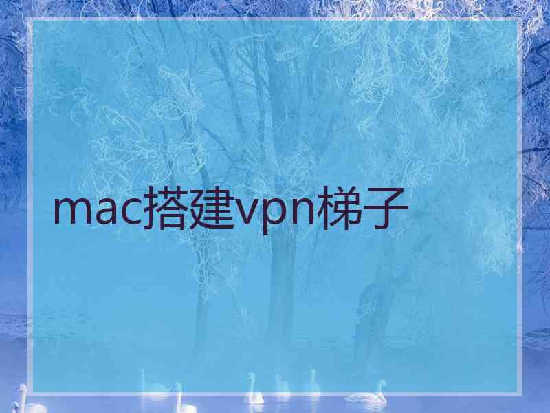 mac搭建vpn梯子