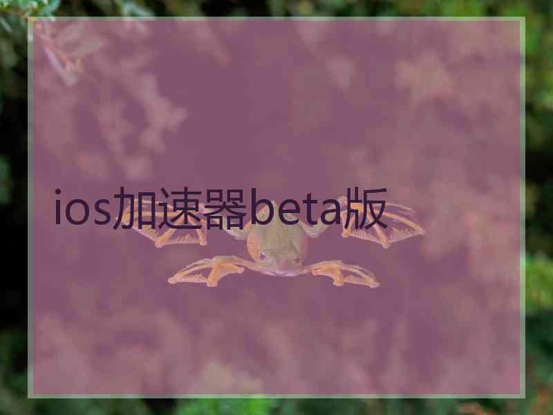 ios加速器beta版