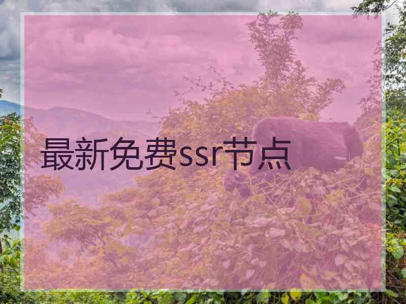 最新免费ssr节点