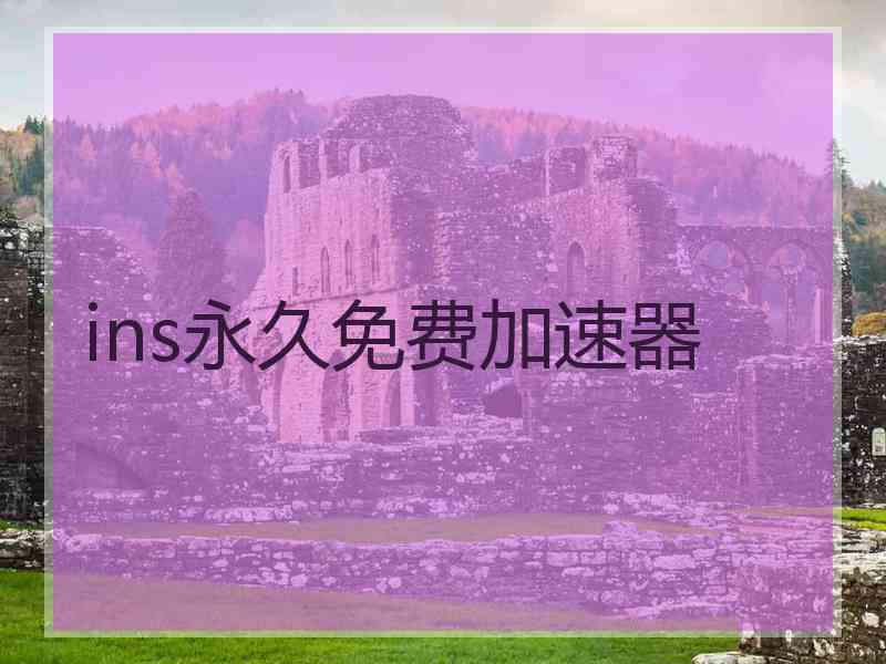 ins永久免费加速器