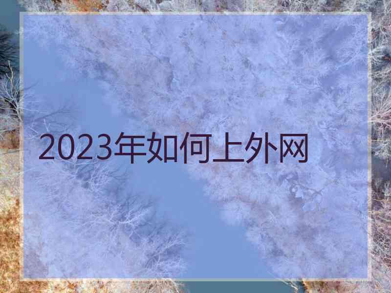 2023年如何上外网