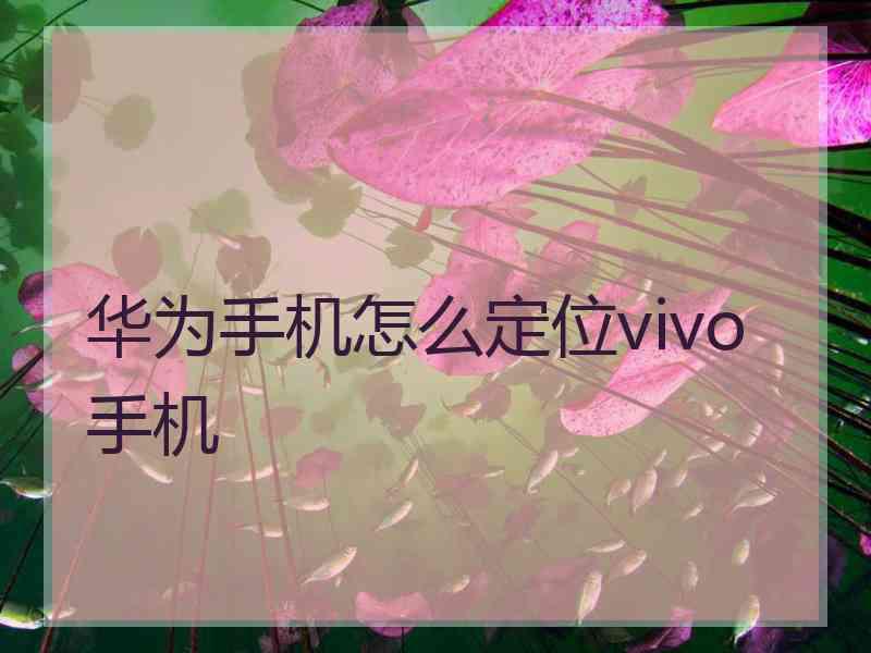 华为手机怎么定位vivo手机