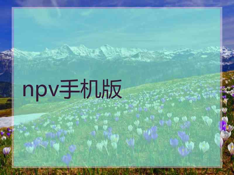 npv手机版