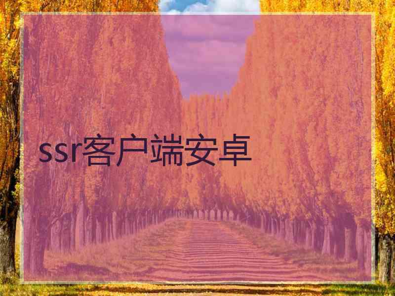 ssr客户端安卓