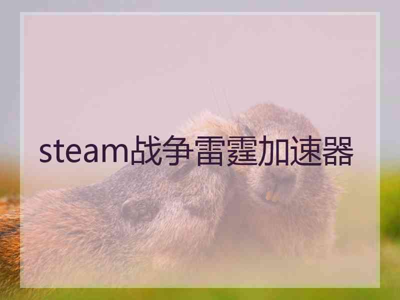 steam战争雷霆加速器