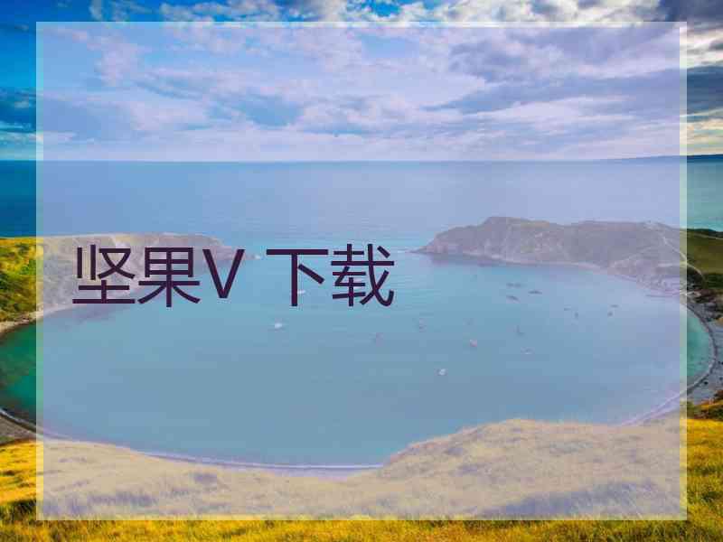 坚果V 下载