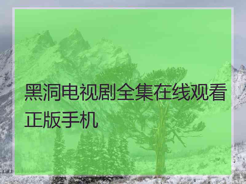 黑洞电视剧全集在线观看正版手机