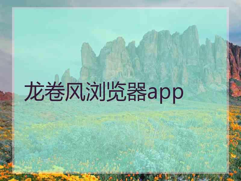 龙卷风浏览器app