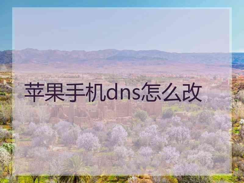 苹果手机dns怎么改