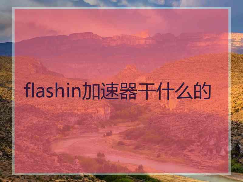 flashin加速器干什么的