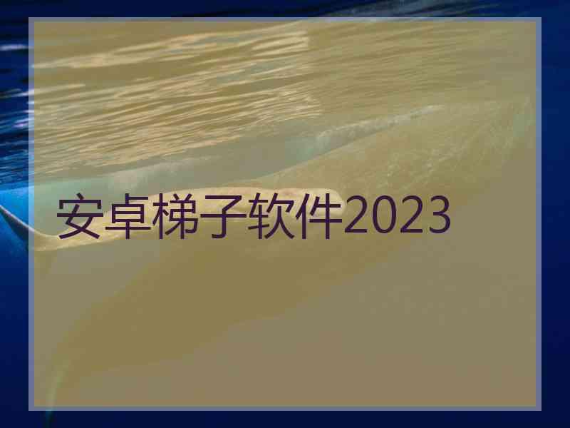 安卓梯子软件2023