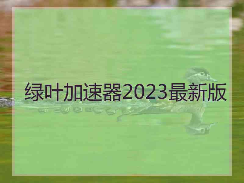 绿叶加速器2023最新版