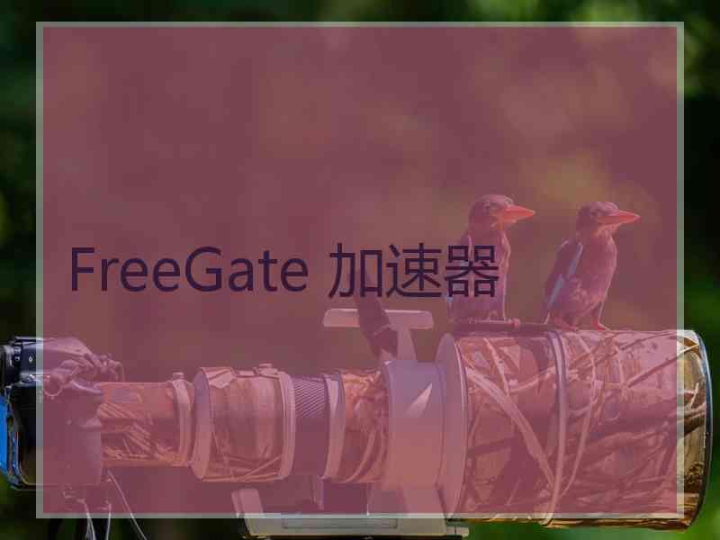 FreeGate 加速器