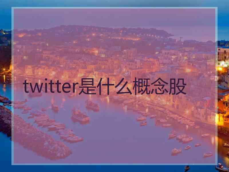 twitter是什么概念股