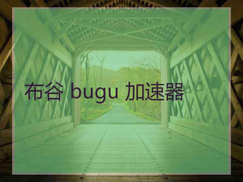 布谷 bugu 加速器