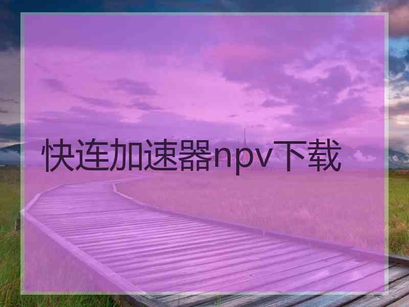 快连加速器npv下载