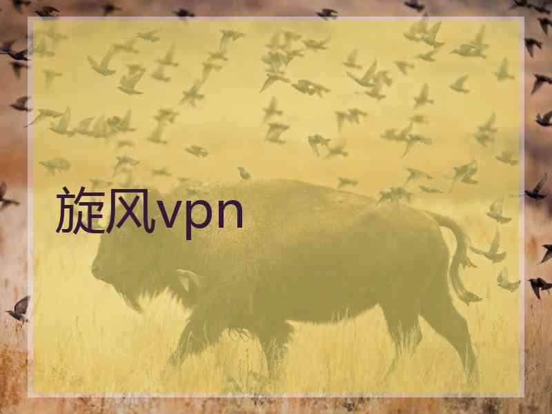 旋风vpn