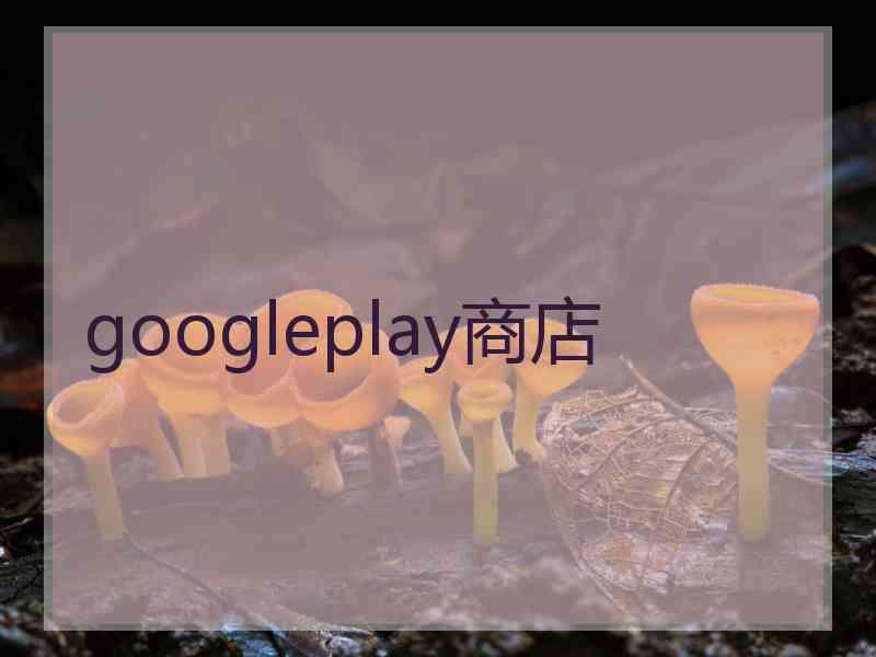 googleplay商店