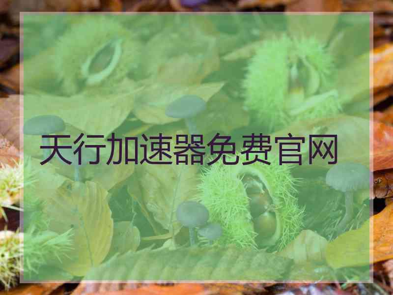 天行加速器免费官网