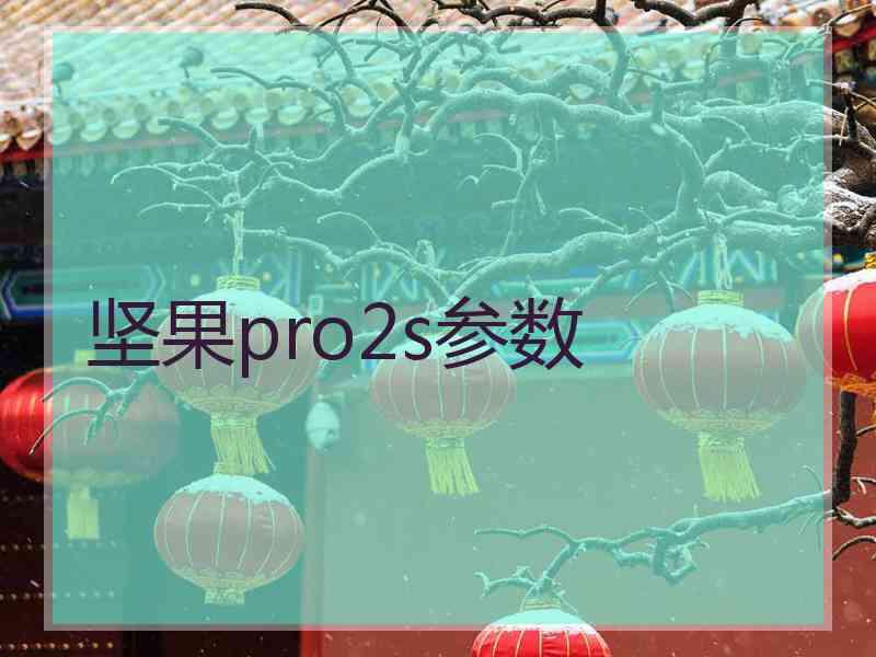 坚果pro2s参数