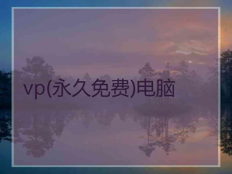 vp(永久免费)电脑