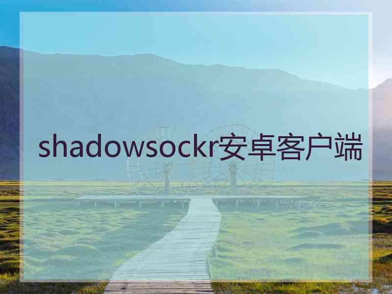 shadowsockr安卓客户端