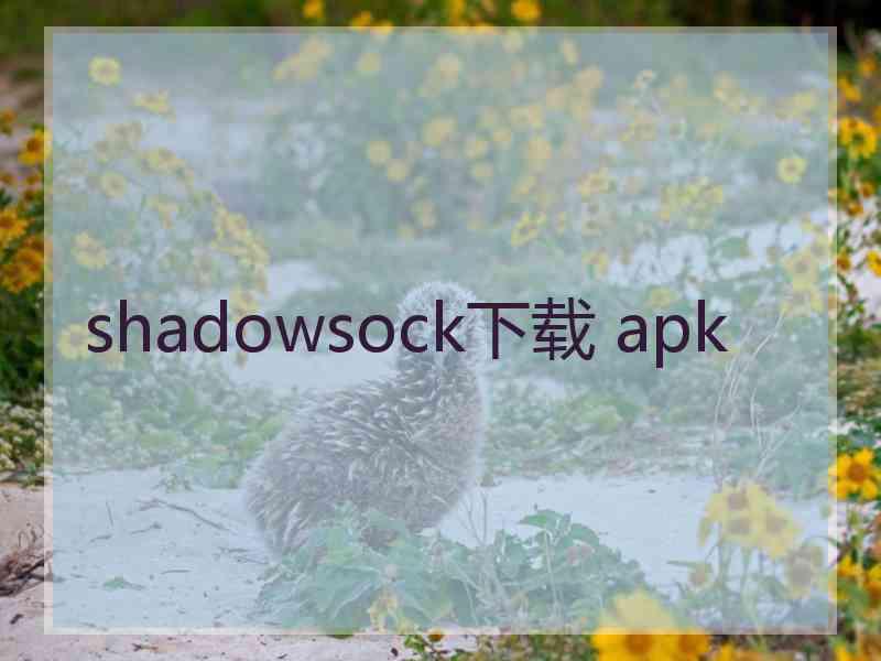 shadowsock下载 apk