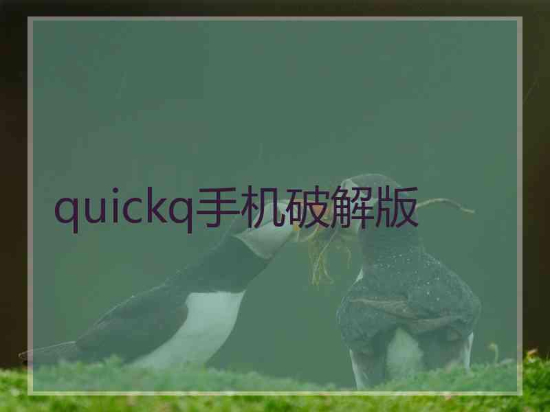 quickq手机破解版