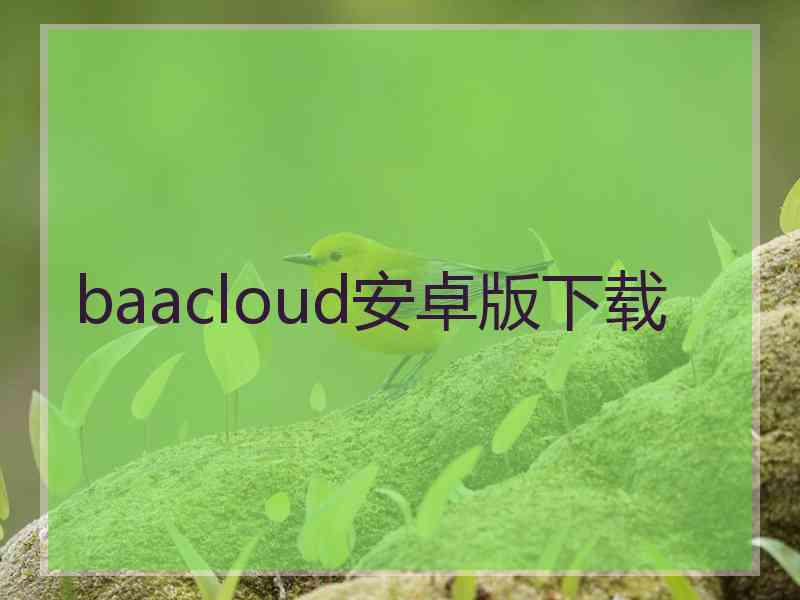 baacloud安卓版下载