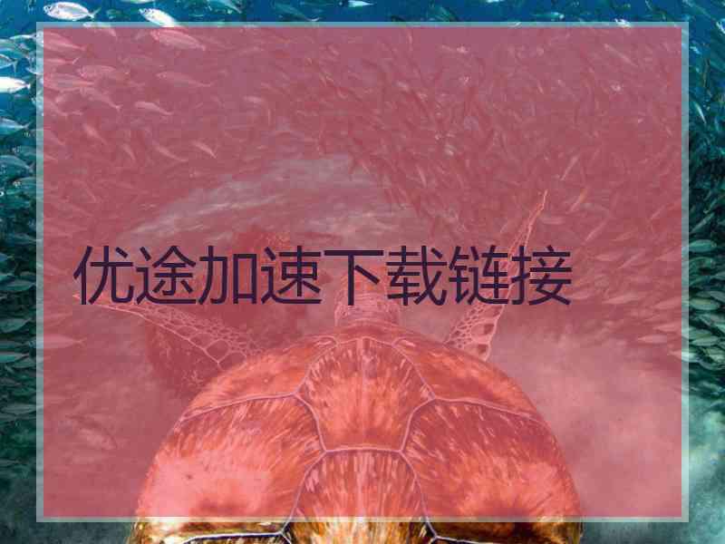 优途加速下载链接