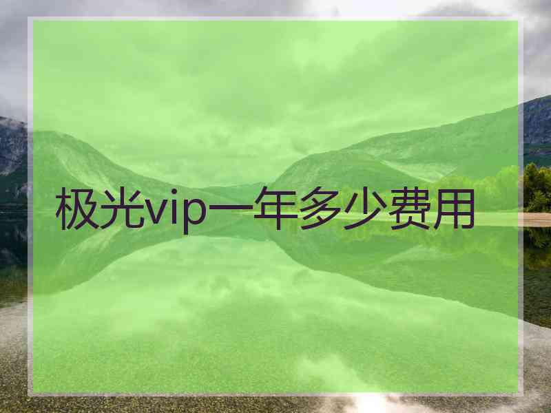 极光vip一年多少费用