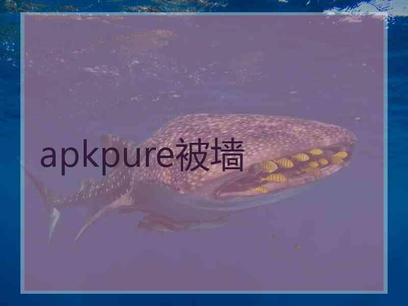 apkpure被墙