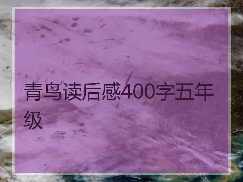 青鸟读后感400字五年级