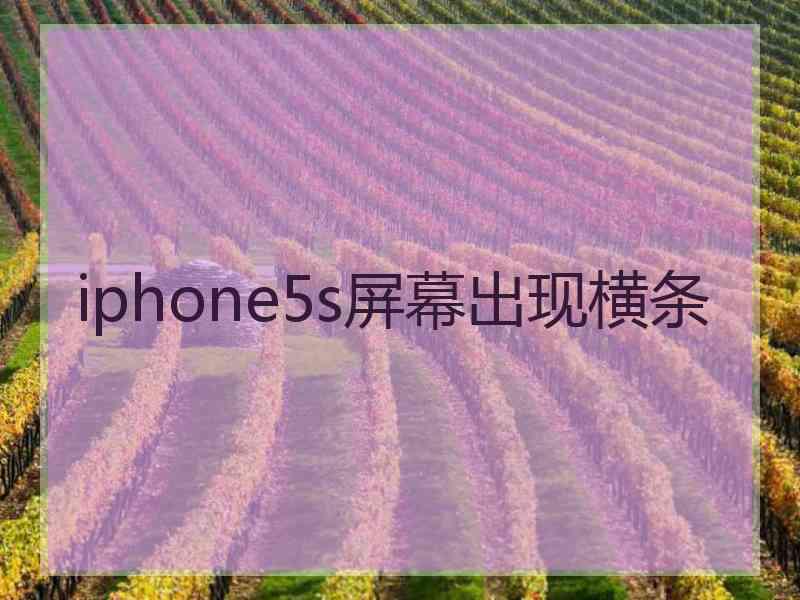 iphone5s屏幕出现横条