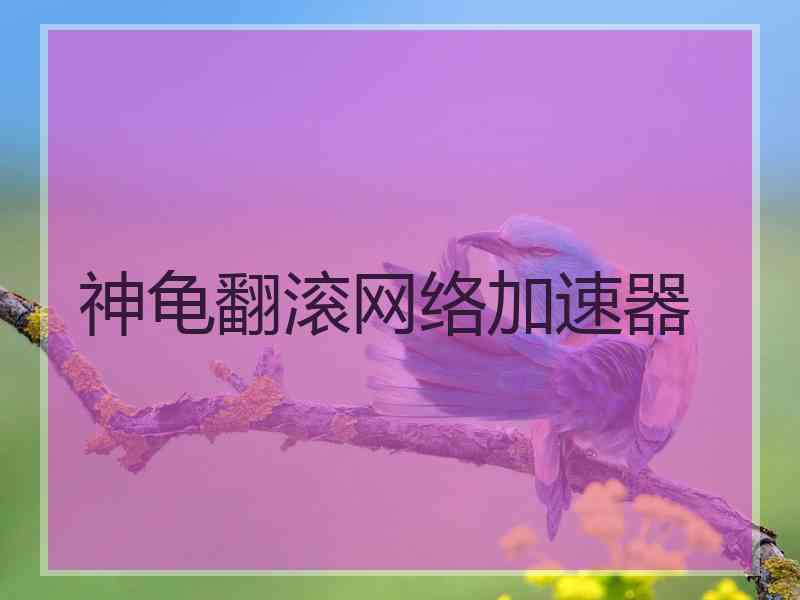 神龟翻滚网络加速器