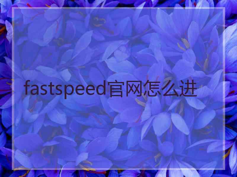 fastspeed官网怎么进