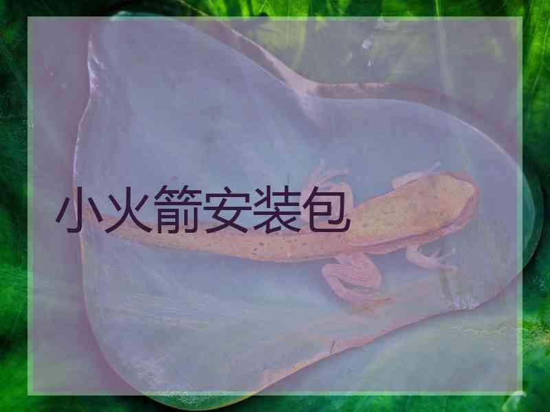 小火箭安装包