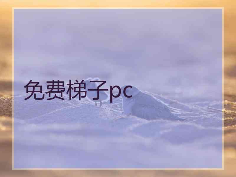 免费梯子pc