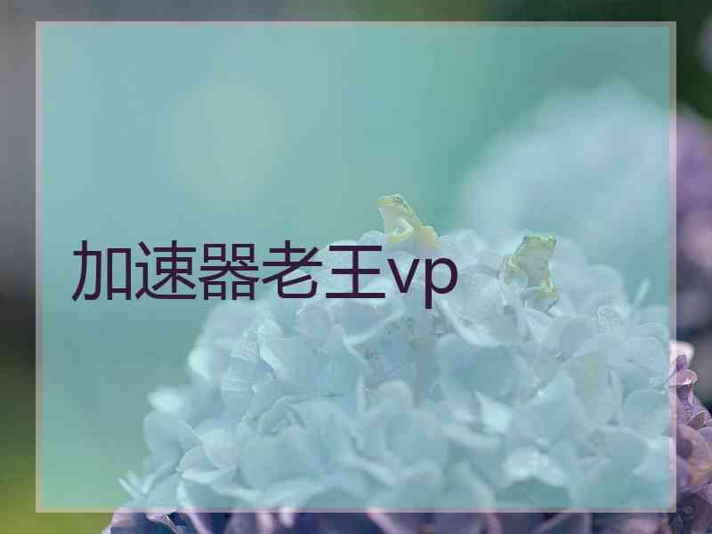 加速器老王vp