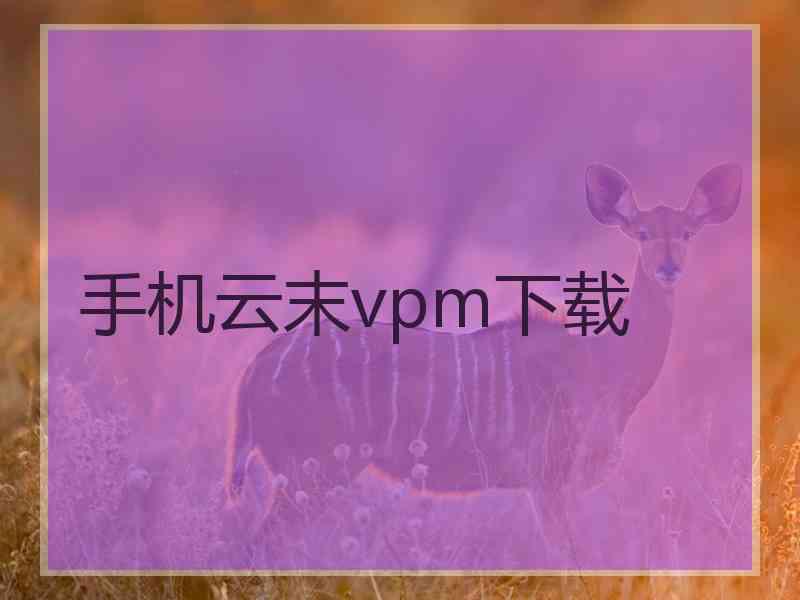 手机云末vpm下载