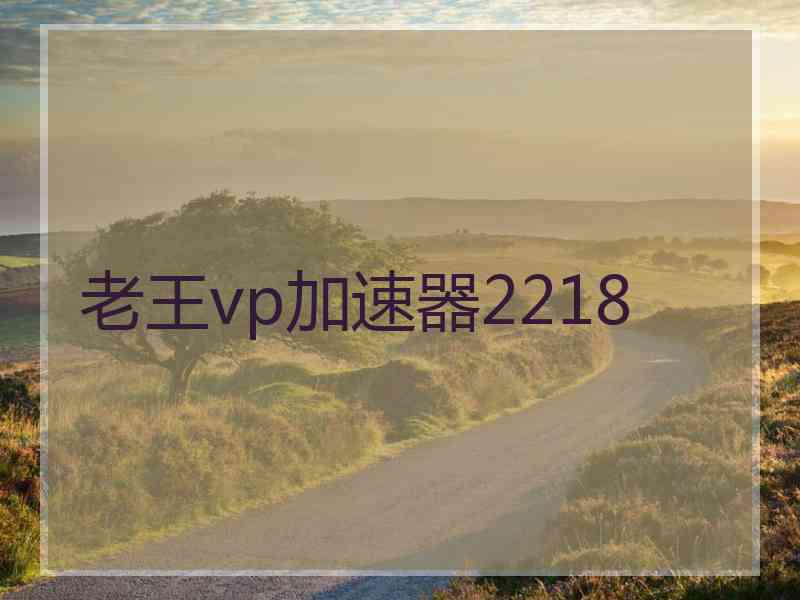 老王vp加速器2218