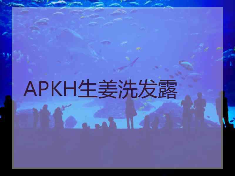 APKH生姜洗发露