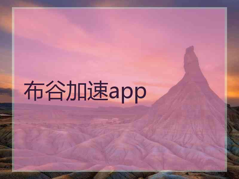 布谷加速app