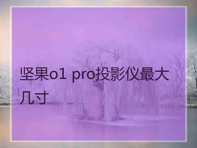 坚果o1 pro投影仪最大几寸