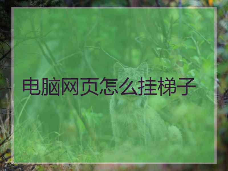 电脑网页怎么挂梯子